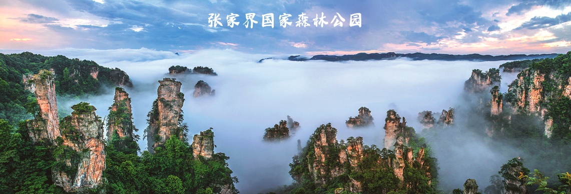 sq_slide1_副本.jpg